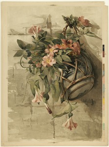 Pink Flowers in Hanging Vase