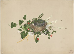 Bird's nest with vines