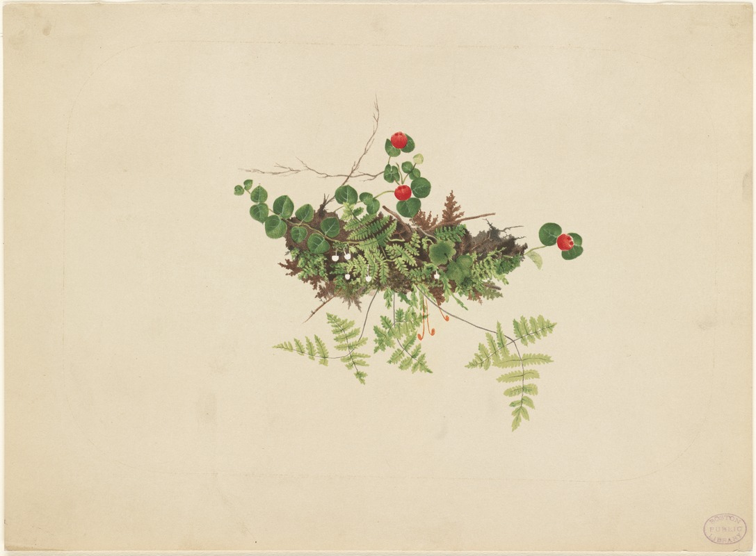 Ferns and vines