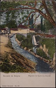 Souvenir de Smyrne. Magnesie du Sypile (la Source)