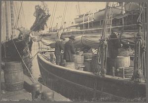 Boston, Massachusetts, T Wharf, baiting trawls