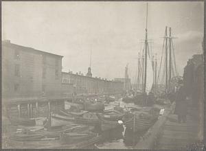 Boston, Massachusetts, T Wharf, south dock, Italian fishing fleet in port