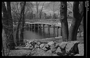 Bridge in the woods, Lexington and Concord