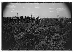 Black Forest and views from roof - Gertrude Sands