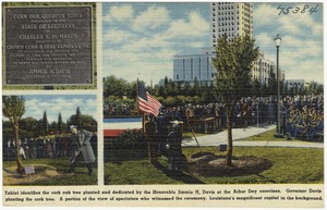Tablet identifies the cork oak tree planted and dedicated by the Honorable Jimmie H. Davis at the Arbor Day exercises. Governor Davis planting the cork tree. A portion of the view of spectators who witnessed the ceremony. Louisiana's magnificent capitol is the background.