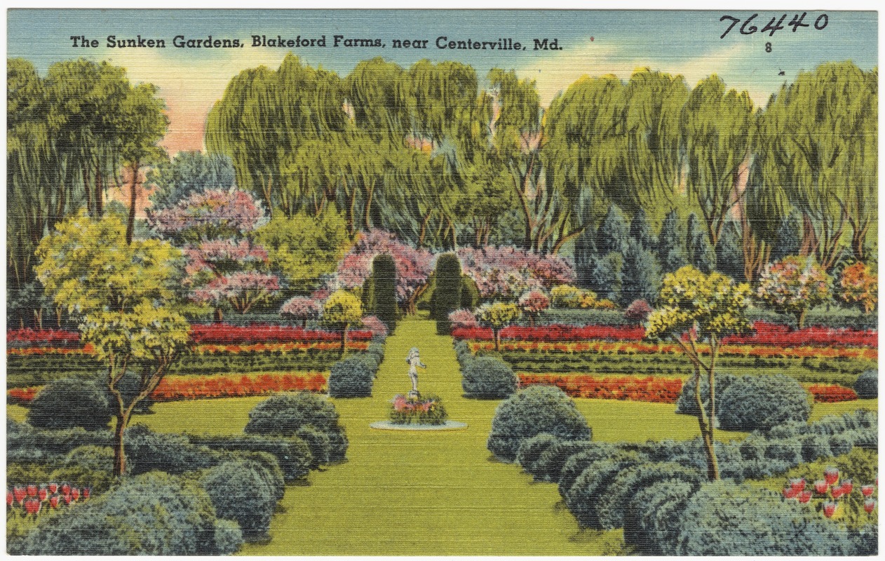 The Sunken Gardens, Blakeford Farms, near Centerville, Md. Digital