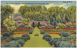 The Sunken Gardens, Blakeford Farms, near Centerville, Md.