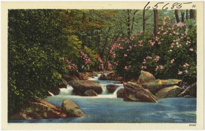 A mountain trout stream near Hagerstown, Md.