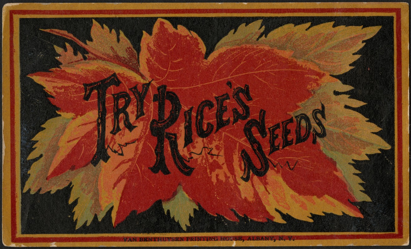 Try Rice's seeds.