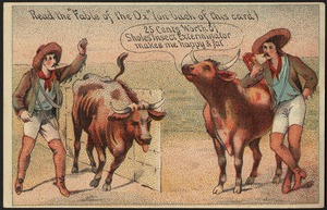Read the "Fable of the Ox" (on back of this card.) 25 cents worth of Sholes' Insect Exterminator makes me happy & fat.