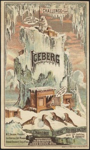Challenge, come on, everyone can have one - Iceberg. Challenge Iceberg Refrigerator.