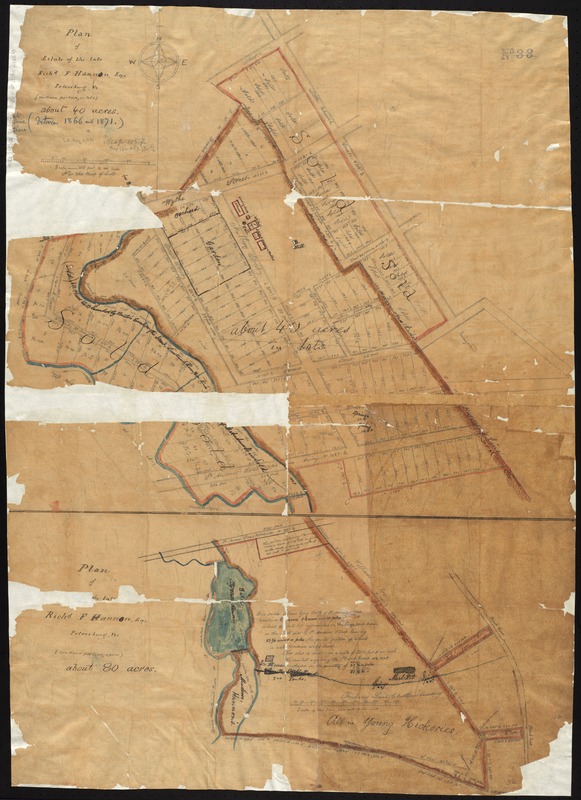 Plan of the estate of the late Richd. F. Ha[nn]on, Esq., Petersburg, Va. (northern portion, in lots)