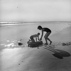 Horseneck Beach, Westport, MA