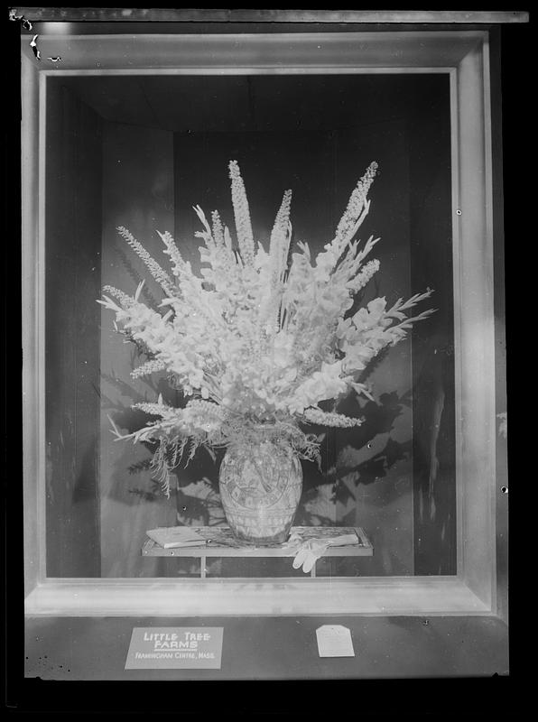 Flower display from Little Tree Farms, Framingham Centre, Mass.