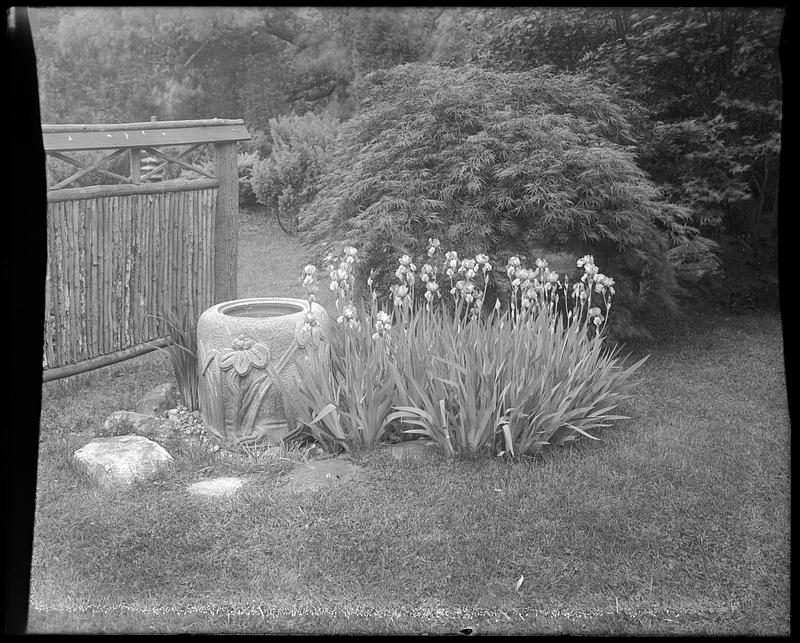 Lawn with flowers, shrub, and fence