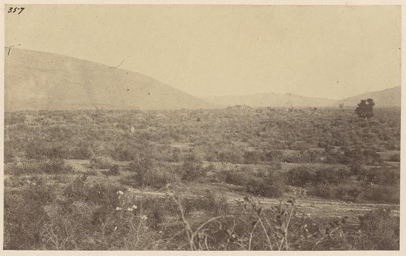 Site of the ancient city of Rajgir, India