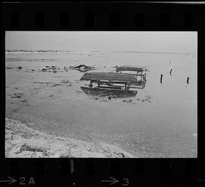 Plum Island storm damage