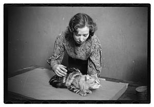 Cat show