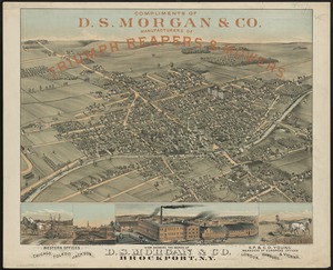 View showing the works of D.S. Morgan & Co., Brockport, N.Y