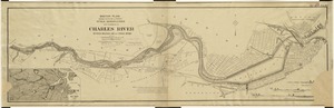 Sketch plan showing the existing and proposed public reservations upon the banks of the Charles between Waltham line and Craigie Bridge