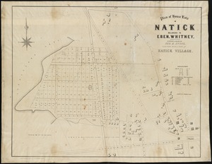 Plan of house lots in Natick belonging to Eben. Whitney