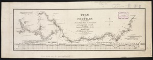 Plan and profiles of surveys from Farm Pond in Framingham and Long Pond in Natick, for supplying water to the City of Boston