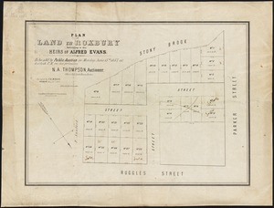 Plan of land in Roxbury belonging to the heirs of Alfred Evans
