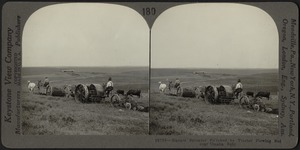 Spreading manure and plowing with tractor, Nebraska