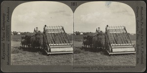Loading alfalfa with a hay loader, Lincoln, Nebraska