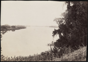 View on Savannah River Georgia