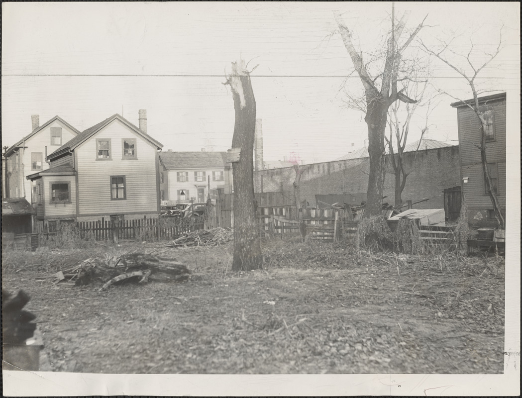 A Cambridge welfare recipient claimed to city authorities that this vacant lot on Boyson place was for a "home address," investigators said