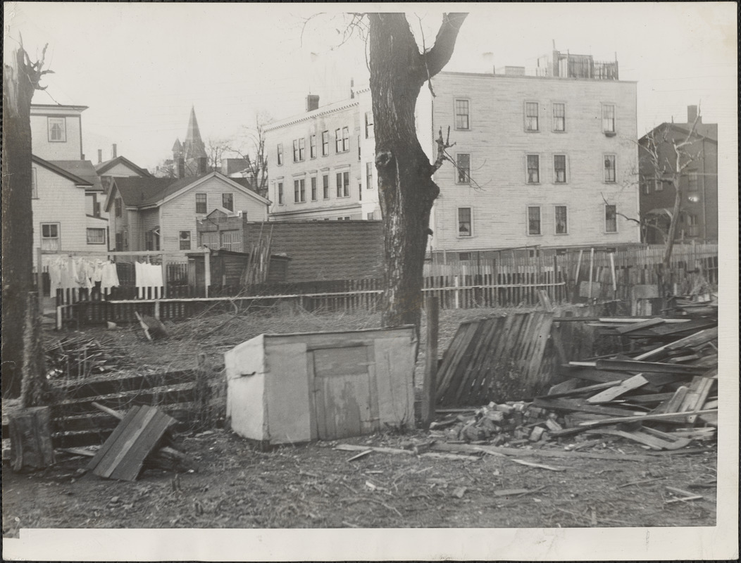 A Cambridge welfare recipient claimed a residence in this junk strewn Boyson place vacant lot in obtaining aid from the city, investigators discovered