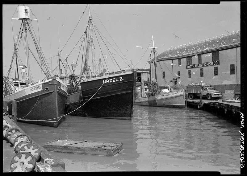 Gloucester, harbor and North Atlantic Fish Co. building