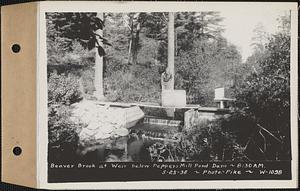 Beaver Brook at weir below Pepper's mill pond dam, Ware, Mass., 8:30 AM, May 25, 1936