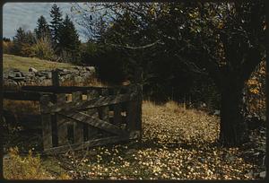 The old gate