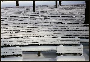 Rows of benches covered in snow, Boston Common
