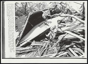 Long Beach, Miss. -- They Came Out On Top -- John Burk, foreground, and Carl Wilson (top, back) survey the damage to their Long Beach, Miss. house Tuesday. Burk was blown into a tree by Hurricane Camille Sunday night and rode out the storm in his perch. Wilson ended up under the house when it collapsed. Neither was injured but two other persons in the house died.
