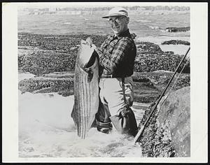 Surfer’s Delight is the striped bass. Joe Donan of Rhode Island took this 49-pounder from the shore. The New England coast offers top striper fishing.