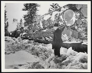 Wartime Logging. Westwood, Calif. -- High-pressure war production forces loggers to work through the winter in spite of heavy snows in the pine region of the High Sierras. Even in California, at altitudes of 5,000 feet and upward, snows come deep. A march storm dumped our feet of new snow on Camp Bunyan, where these photos were taken, 40 miles north of here. Here conductor Clyde Fischer highballs a log train at Camp Bunyan for the 40 mile run to Westwood. The mill eats up more than 100 carloads of logs each day.