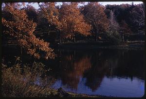 Trees showing fall foliage next to a body of water