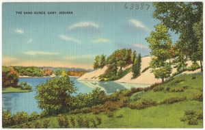 The sand dunes, Gary, Indiana