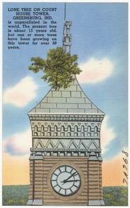 Lone tree on court house tower, Greensburg, Ind. Is unparalleled in the world. The present tree is about 13 years old, but one or more trees have been growing on this tower for over 50 years.