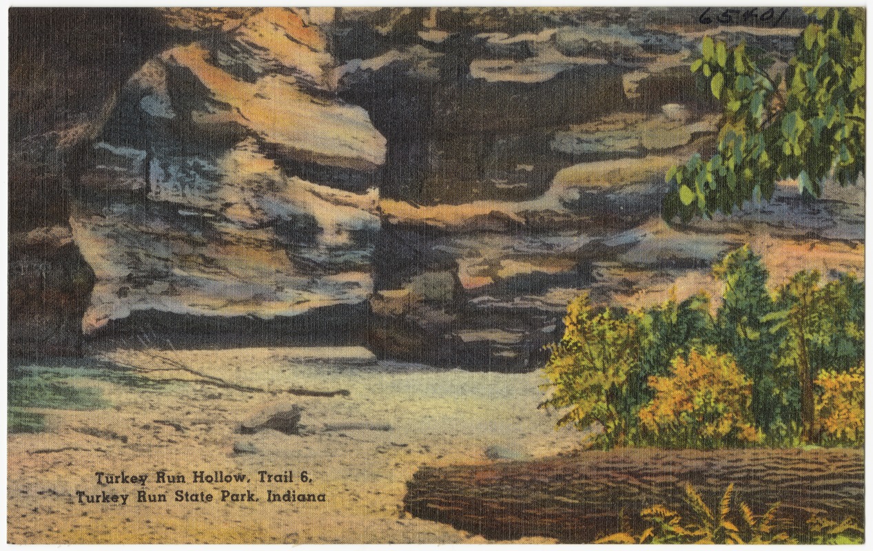 Turkey Run Hollow, Trail 6, Turkey Run State Park, Indiana Digital