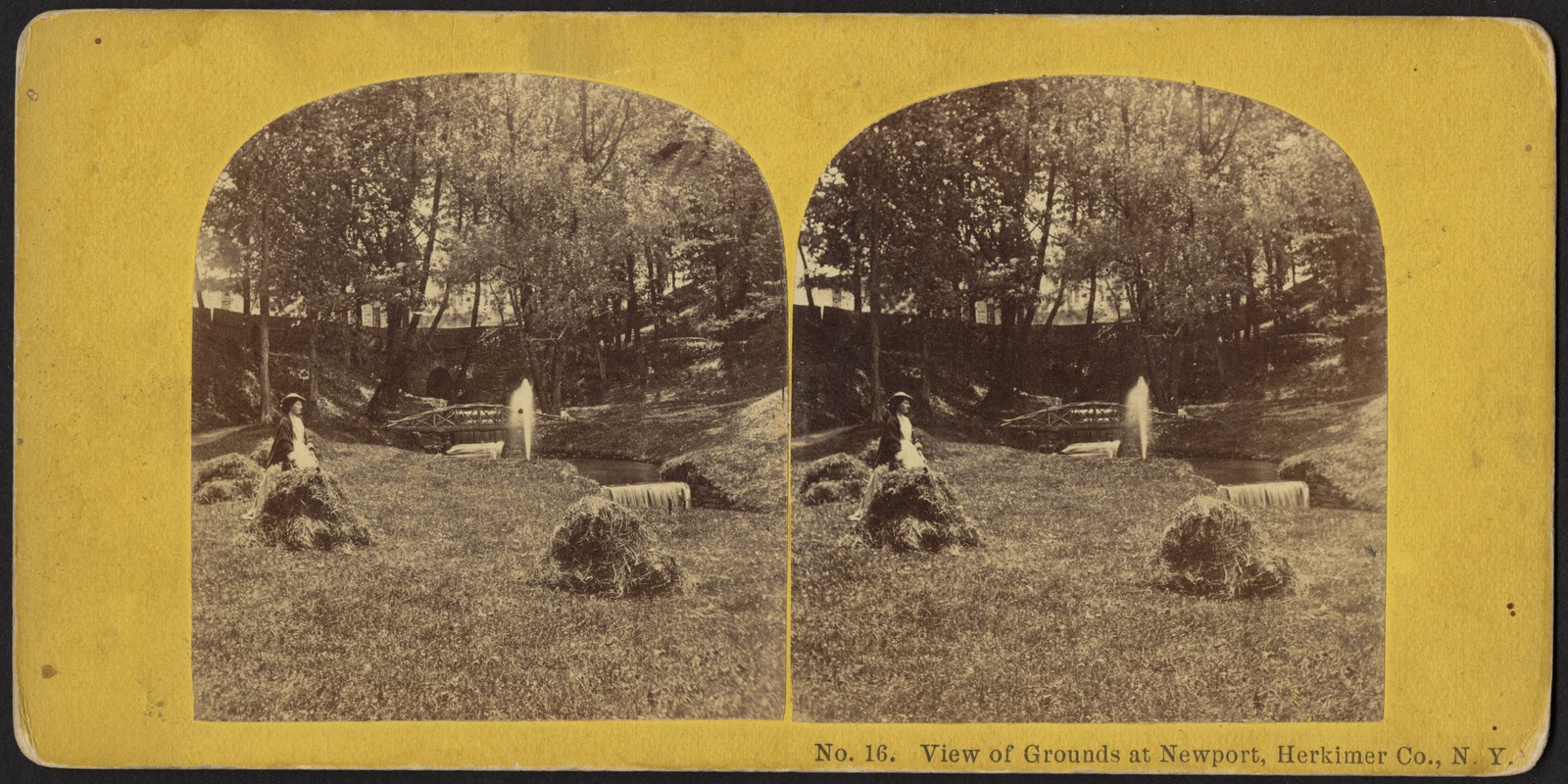 View of grounds at Newport, Herkimer Co., N.Y.