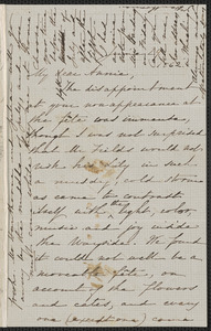 Sophia Hawthorne autograph letter signed to Annie Adams Fields, [Concord], 29 June 1862