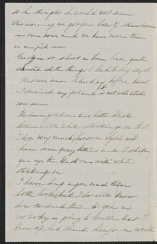 Rose Hawthorne Lathrop autograph letter signed to Annie Adams Fields with postcript from Sophia Hawthorne postscript to Annie Adams Fields, Concord, 29 June 1862