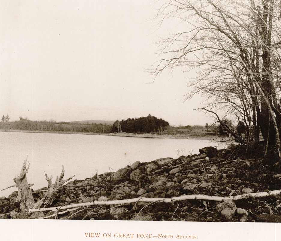 View on Great Pond, North Andover Digital Commonwealth