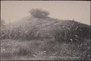 The mount at Marathon