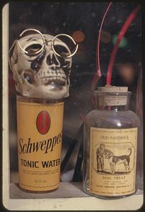 Antique bottles and skull
