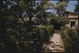 Garden, possibly San Diego